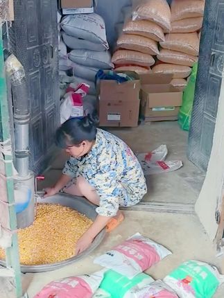 大农盟怀孕母猪料,两全其美养母猪的好帮手
