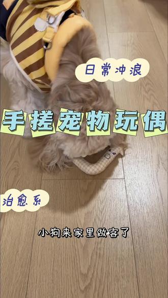 2月2日|艰苦的日子手搓小玩偶#创作者中心 #创作灵感 ##谁还没个隐藏技能 #缝纫日常 #自己做衣服