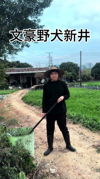 这是哪位的填词呀!快来认领哦!#文豪野犬 #新井