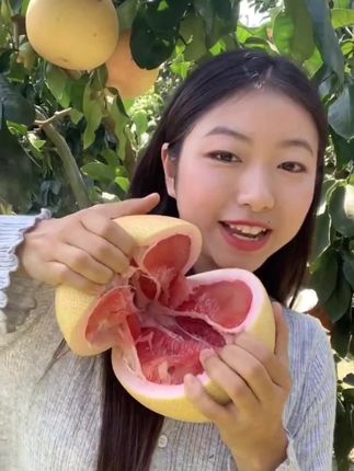 好久不见,我来卖柚子了