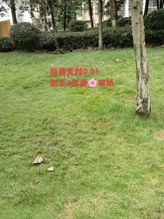 每个人都可以领走四包漫花抽纸,不领白不领,错过就没了下方链接,点开购买,这里显示实付零点零一,就是每个人都可以领走四包漫花抽纸,不领白不领,错过就没了下方链接,点开购。