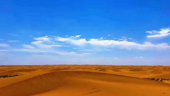 你是沙漠我是鱼#经典歌曲 #每日推荐音乐