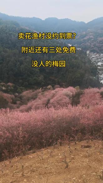 卖花渔村没约到票,附近有3处免费没人的梅园。3天2晚小众路线,梅香+鱼灯。点个关注再询问路线,粉丝提问必回答#卖花渔村 #鱼灯 #皖南春节 #黄山周边游 #线路规划