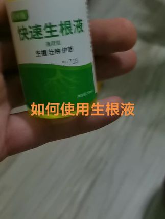 生根液用图可以移栽苗,可以扦插,可以用在水生植物,生根成功绿大