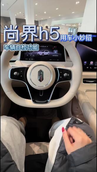 车辆自检功能这样打开,快来看看吧#尚界h5 #鸿蒙智行 #新能源汽车 #汽车#自检