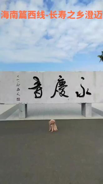 到澄迈了-这里可是世界长寿之乡啊!
海南是北冷南热,东湿西燥的气候,澄迈位于海南省的西北部,常年气候适中,冬天最冷也不低于15度,夏天最高也不高于32度,加上森林覆盖率高,负氧离子高,让人在这里觉得很舒服,澄迈的土壤尤其是火山岩风化形成的红壤,富含硒元素。硒是人体必需的微量元素,具有抗氧化、延缓衰老、增强免疫力的作用。本地农产品(如蔬菜、水果、大米)含硒量高,形成了天然的“防病养生链”。地下水多为火山岩层过滤的天然矿泉水,富含矿物质且无污染。长期饮用对心脑血管健康和代谢有益。
这里地理位置优越,西海岸连着海口,离海口仅有十几公里,在这里住去海口上班比起住香河去北京上班不知道要方便多少倍,而且这里消费仅属于三线城市的消费,性价比很高。海南封关后要创业这里可是首选。也是非常好么康复之地。