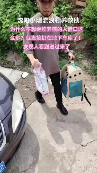 养宠物猫真的不是你经济条件好,就能一定养好!真的要有耐心,要有恒心,多些包容才能养好猫,养不了猫了,就选择扔出来,是对毛孩子们最大的伤害!能遇到好心人伸出援助之手的少之又少,大多数都在流浪,而且流浪也很短的时间就去了喵星😭#领养代替购买拒绝无良繁殖 #禁止弃养宠物 #布偶猫 #流浪猫救助 #关爱流浪猫