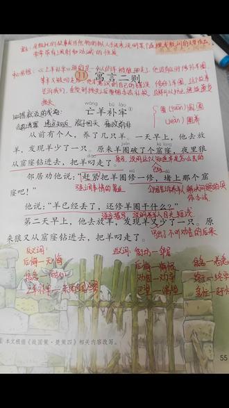 #上热门话题 #手写笔记 五四制二年级语文下册《寓言二则》《亡羊补牢》《揠苗助长》课堂笔记,儿子知识点汇总打卡,评论区附带知识点汇总随堂练习题可打印