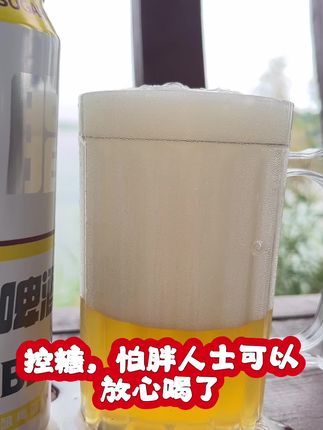 德式无糖啤酒真的很德国🇩🇪 怕糖,怕胖,身材管理期你不敢喝啤酒,那是你没有遇到我。#控糖减脂 #身材管理 #低热量的水果
