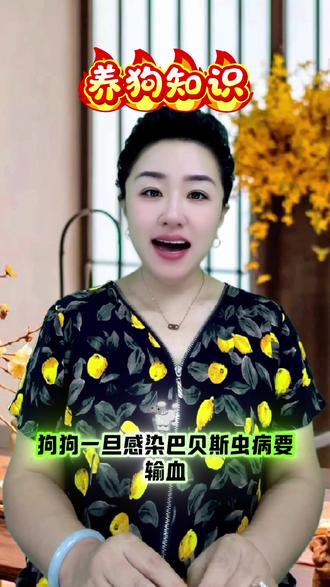 春天遛狗别踩坑!一不小心亏1万+#狗狗#科学养宠攻略 #宠物#萌宠#新手养狗