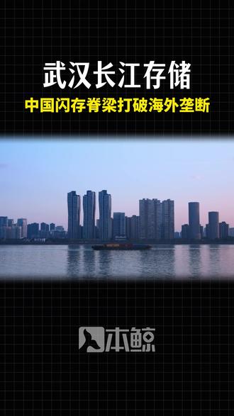 从 0 到全球 NAND 三甲,彻底撕碎海外芯片霸权#武汉 #长江存储 #硬核科技 #国产芯片