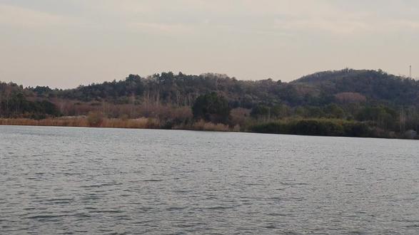 阿赖耶识是佛为众生方便安立的一个假名,只是无我如来藏的异名,唯心所现,并非实有。若能转识成智,达二无我,善用此心,不染万境,此阿赖耶即净,名为佛性。常用自在,亦名为佛。至于你说的信息、因果业力,皆是自心妄想异名,亦非实有。
命由我立,即是你如何用心,就有什么结果。你放逸六根,恶用此心,就虚受恶果,虽受恶业,实无受者。你善用此心,不染万境,心识即转,即自清净,虽然清净,亦无清净者。
心若灭时罪亦亡即是转八识成四智,并非心断灭,而是于一切相无染和无住,六根不再贪着六尘,这时过去的业则没有新的业相续,则逐渐消灭,新业不生,则诸识转依,复本清净。故云心若灭时罪亦亡。心灭只是染污的习气和识心灭,非心体灭。心体随缘起用,染即众生用,不染即佛用,皆非真实,心体实无如是用也。所以祖师云,一念觉即众生是佛,一念迷即佛是众生。觉与迷都是就染与不染的方便说。本体虽能起如是幻用,本自不动。所以祖师云,只此不染污,诸佛护念。——学山禅师