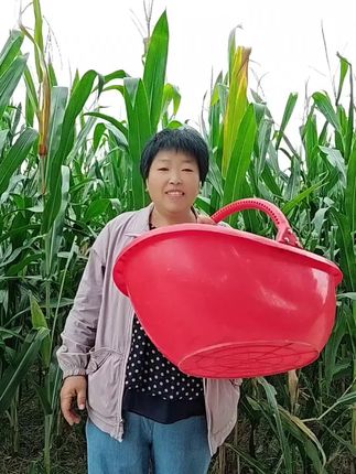农用篮子,撒肥料,捡玉米 二姐百货,这款篮子价格非常香,点击小黄车,橱窗有更多好物