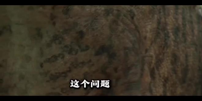 这恐龙有力气
#抽象#恐龙