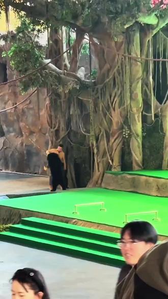 视频来源于网络
#动物