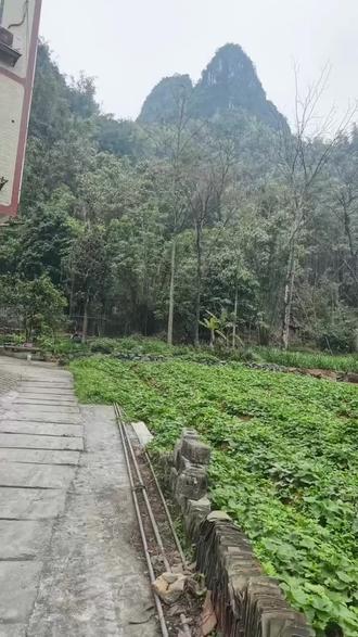 四面环山一夫当关万夫莫开的地形,就知道79年对越自卫反击战我们中国军人为什么会付出那么惨烈的代价,牺牲了多少军人。