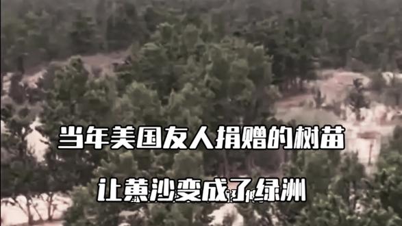 全网寻找当年奉献爱心的美国友人