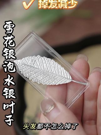 用雪花银叶子泡茶,激活茶香#银叶子 #叶子 #银叶 #泡茶 #泡茶神器