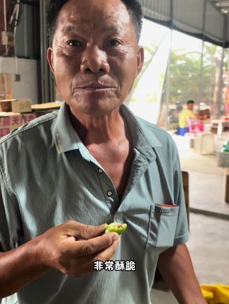 三伯橄榄卖的出就非常开心,不用放在山上没人去摘,太兴奋了,或者这就是种橄榄的乐趣吧,大家多支持,三农不易!#潮汕 #潮汕人 #橄榄 #橄榄汁 #三农