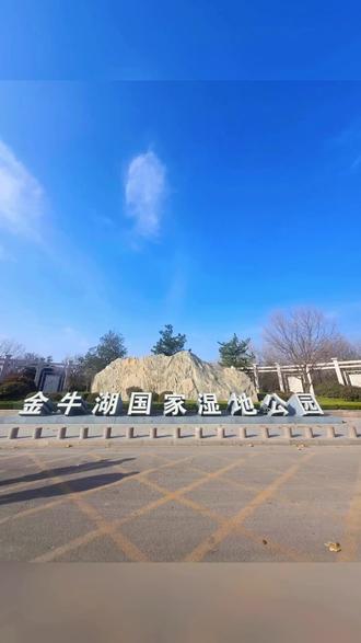 茌平金牛湖湿地走一走