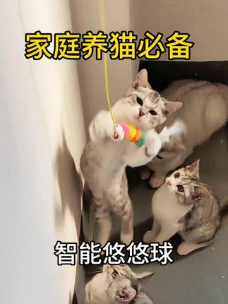 【智能悠悠球】我家猫咪太喜欢玩这款悠悠球了,它能自动伸缩,能给它们快乐的陪伴!#萌宠好物 #猫玩具 #智能玩具 #悠悠球 #猫咪