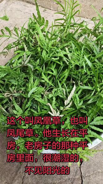 希望我们家喝下去有奇迹发生
