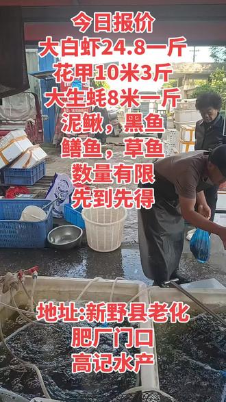 #高记海鲜水产#真实的海鲜市场 #水产供应点 #早市新鲜货 #水产批发市场日常