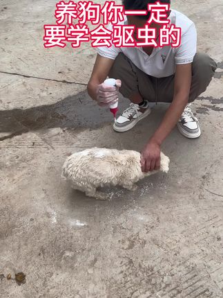 #农村创业养殖 #三农养殖 #农村创业 #我的农村生活 #家有宠物
