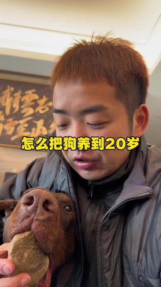 狗狗短寿都是主人喂出来的 #萌宠好物