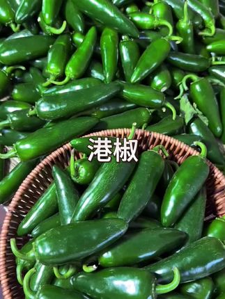 东北新鲜泡椒港椒辣椒厚肉脆嫩当季蔬菜特辣嘎嘎辣腌制辣椒咸菜#特辣辣椒 #港椒 #泡椒#应季蔬菜#腌咸菜