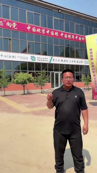 河北种小麦别瞎选品种了!一次性讲透#助力三农#小麦