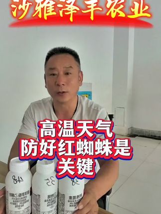 高温天气,防治红蜘蛛很关键!!!#农资肥料 #三农 #泽丰农业 #服务三农支持三农 #新农人