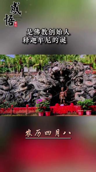 . 农历四月初八是释迦牟尼佛的诞辰日,俗称浴佛节或佛诞节 。传说佛陀出生时“九龙吐水”,所以寺庙这天会举行浴佛仪式,信众通过洗浴佛像来净化心灵,祈求平安智慧 。
#四月初八释迦摩尼佛圣诞日 #九龙沐浴 #佛教文化