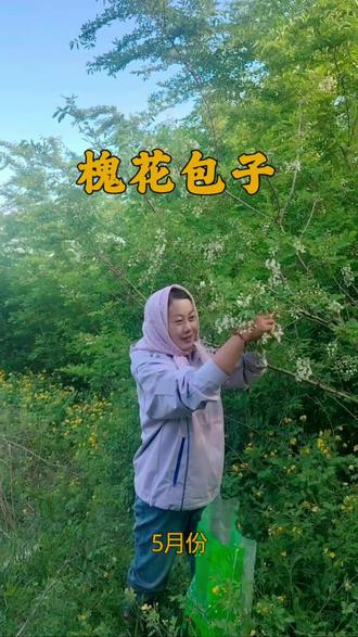 能吃出淡淡的花香,香还不腻的槐花包子 #新鲜采摘槐花 #家乡的味道#美食#农村生活