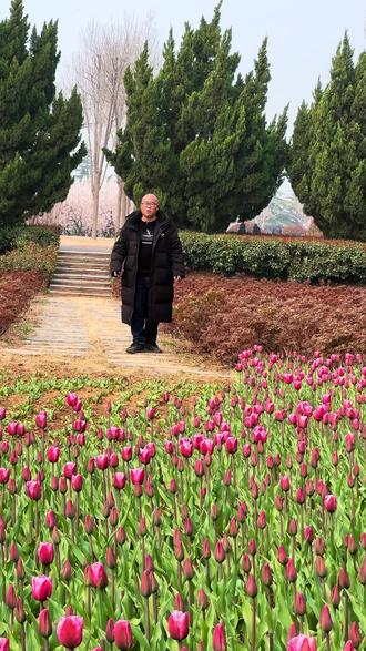 洛阳龙门南山牡丹园#洛阳 #洛阳牡丹 #洛阳牡丹甲天下 #洛阳把浪漫藏进牡丹里 #洛阳相当适合旅游了