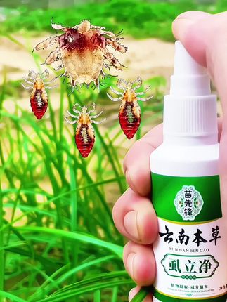 #头上有虱子怎么办#消除虱子卵的小妙招#虱子#头虱@巨量千川
