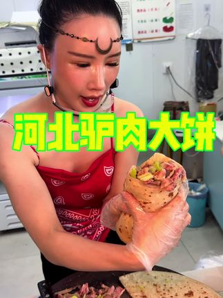 河北驴肉大饼 一百元一张你们感觉值不值 #地方特色美食 #路边摊美味 #街边小吃