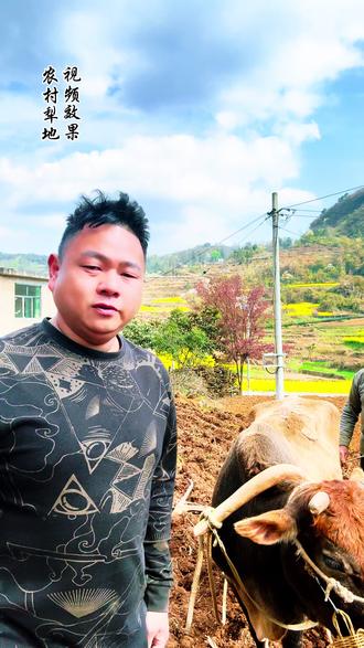 在我们这个年龄阶段应该都知道犁地和牛沟通的语言,你们那个地方是这样叫的吗?#我的乡村生活 #山歌爱好者 #山歌文化传统 #山卡卡的农村人 #用抖音记录人生