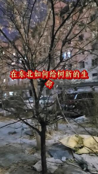 新的一年了,跟个风,大家看看怎么样#彩泥树枝