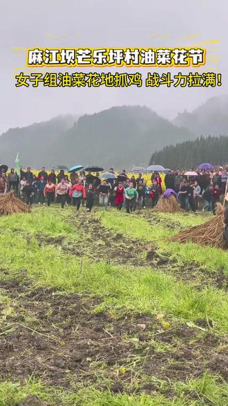 贵州村趣——麻江农趣运动会,坝芒乡乐坪村油菜花节,抓猪妹又双叒叕抓到猪了#周末麻江#贵州村趣#麻江农趣运动#抓猪#抓猪妹