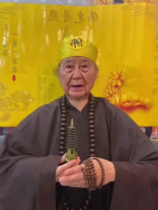 #65年的蛇 #77年的蛇 #蛇