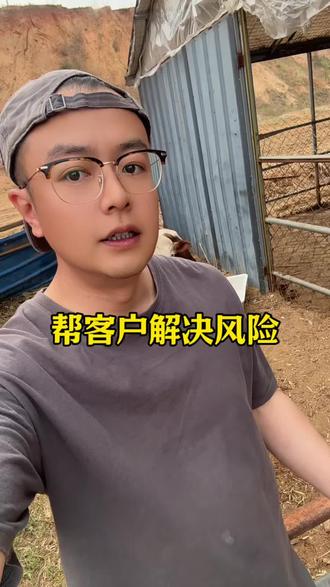 小牛到家一切正常,帮客户解决风险#养牛人