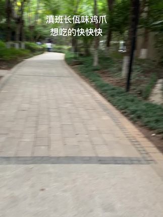 #滇班长#云南佤味鸡爪 #佤味鸡脚