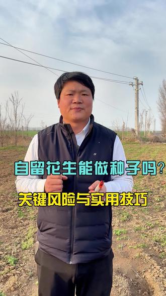 自留花生能做种子吗?关键风险与实用技巧#花生#花生种植#花生高产#花生种植管理技术 #花生高产技术