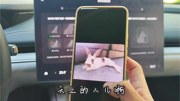 当我用小米SU7萌宠功能找回它…… 一直在等新系统1.16的这个功能,此时#小米su7 不仅是冷冰冰的代步工具这一点再次具象化了~🐇❤️@雷军 @小米汽车 #幼儿园 #陆虎我让暖风给你送去个拥抱 #0713再就业男团 @陆虎 #吉他弹唱