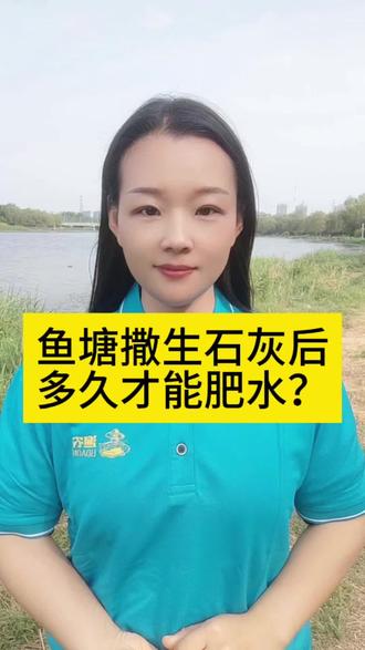 鱼塘撒生石灰,多久才能肥水?#渔农肥#花白鲢养殖#水产养殖技术#肥水养殖#四大家鱼养殖