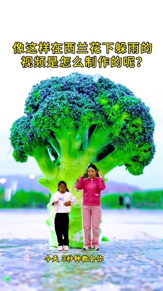 西兰花下躲雨视频拍摄剪辑全过程 #真实生活分享计划 #视频拍摄剪辑教程 #拍摄技巧 #剪辑教程 #西兰花下躲雨 @抖音小助手 @抖音创作者中心 @抖音伙伴创作者计划