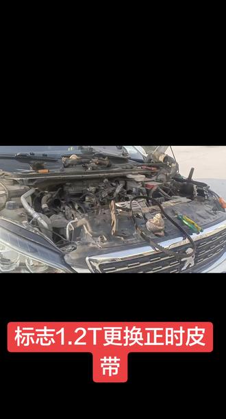 标志1.2T更换正时皮带,切记要把油底壳拆掉清理机油泵滤网,和电磁阀滤网,