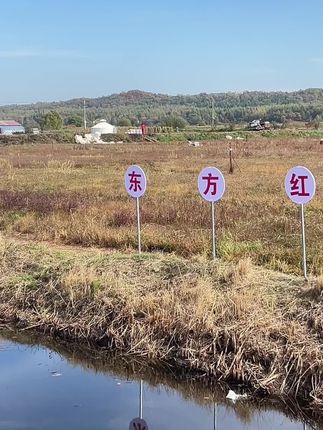 丰收的喜悦优质蔓越莓鲜果,营养丰富,健康又美味,快来尝鲜,喜欢的朋友别错过哦~#新鲜采摘 #抖音助农 #秋天的第一口鲜 #水果#蔓越莓
