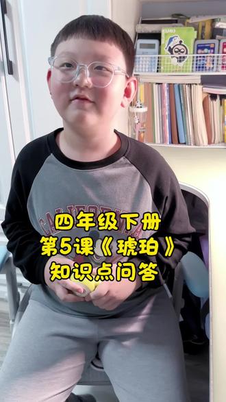 #四年级 四年级下册第5课《琥珀》知识点总结,采用一问一答形式,帮孩子快速巩固复习。#小学语文 #每天学习一点点 #四年级语文